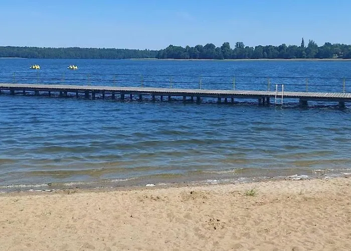 With Garden, Close To The *