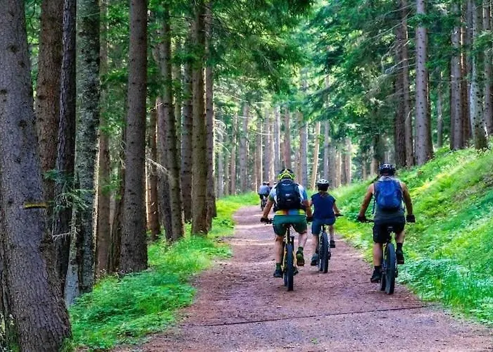 With Garden, Close To The Wadzyn (Ostroda)