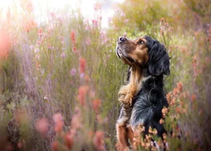 With Garden, Close To The Holiday home